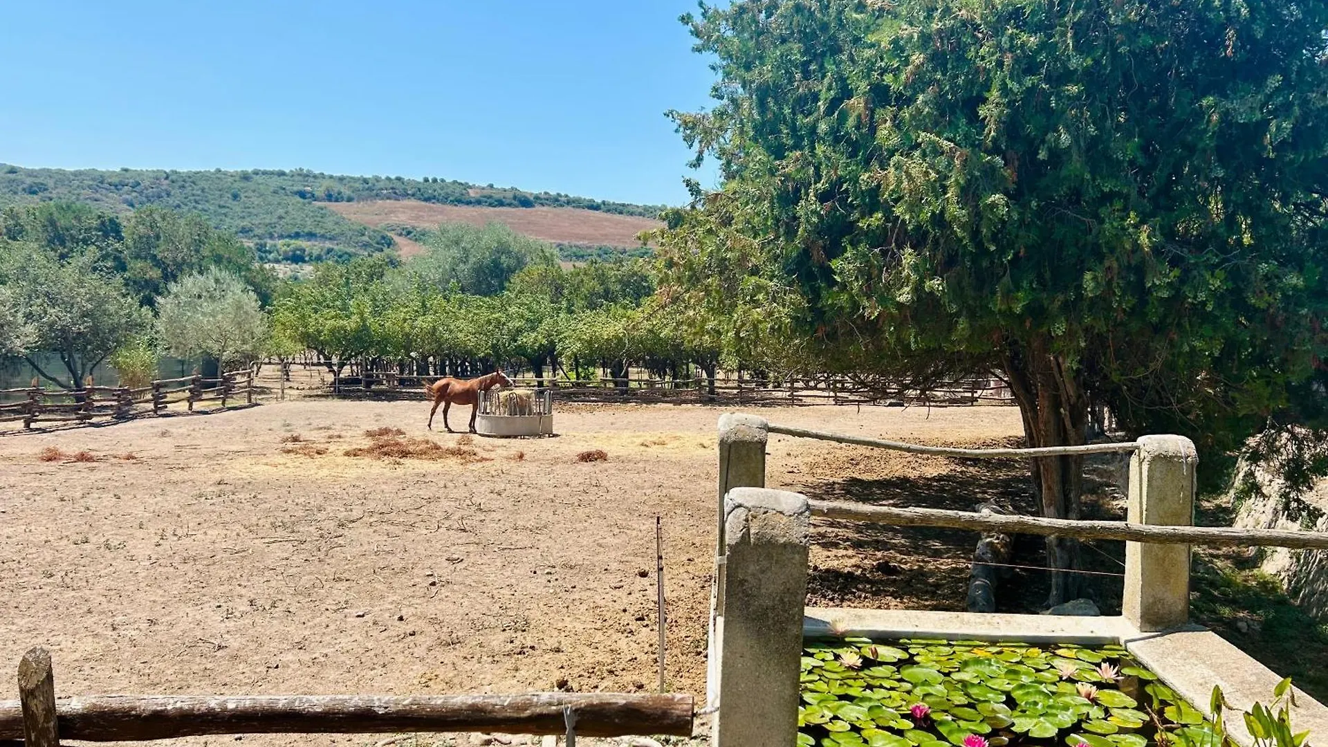 Agriturismo Silis Sennori